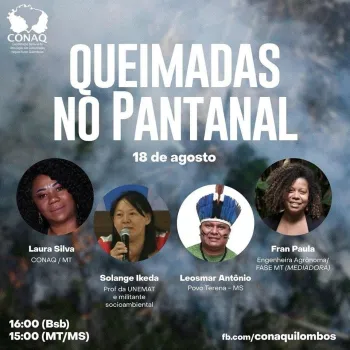 QUEIMADAS NO PANTANAL