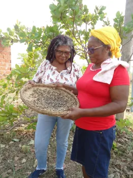 Mixurum dos Saberes Tradicionais das Quilombolas do �Mata Cavalo�.
