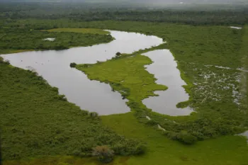 Confer�ncia vai debater Estatuto do Bioma Pantanal