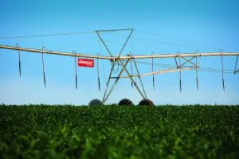 Com aux�lio da irriga��o, agricultor bate recorde de produtividade no milho