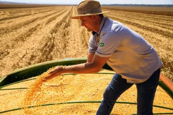 Mato Grosso lidera produ��o agropecu�ria brasileira por 4 anos consecutivos