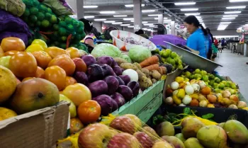 Aux�lio Brasil deve injetar, no m�nimo, R$ 84 bilh�es na economia