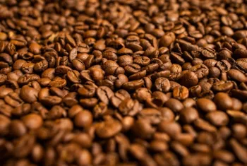 Produ��o de caf� deve aumentar 6,7% na safra 2021/2022