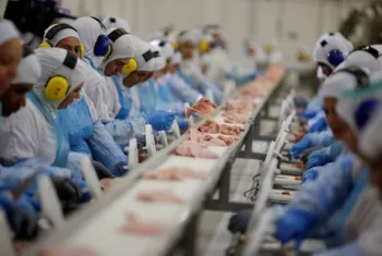 Cooperativas renem agroindstrias gigantes no mercado de carnes