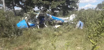 Avi�o cai no pantanal e deixa empres�rio e mec�nico feridos