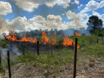 Bombeiros combatem inc�ndio em regi�o de ch�caras em Alta Floresta - MT