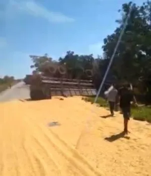 Motoristas morrem em acidente entre van e caminh�o em MT