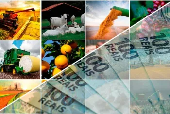Cr�dito Rural abre safra com recorde