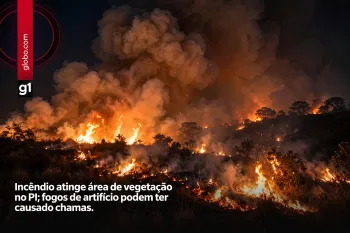 Fogo atinge �rea de vegeta��o em Barras Foto: Divulga��o/GAV (Ajustada por IA)