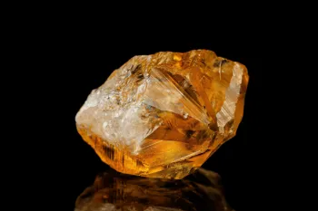 Imagem: IamTK | Shutterstock