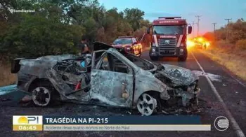 Quatro pessoas morrem ap�s carro colidir contra carna�ba no PI; crian�a fica ferida