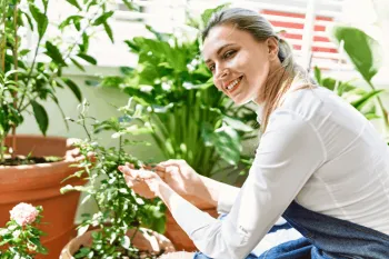 Cultivar plantas e dedicar momentos para contemplar a natureza s�o algumas formas de se conectar com a energia de Ossain (Imagem: Krakenimages.com | Shutterstock)
