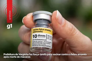 Prefeitura de Varginha faz for�a-tarefa para conferir vacina��o contra febre amarela (Ajustada por IA)