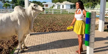 Nicole Bahls mostrou como ensinou boi a utilizar um escov�o instalado na propriedade para se co�ar sozinho (Reprodu��o/ Instagram Nicole Bahls)