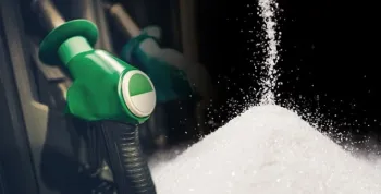 Perspectivas Cepea; hoje, acompanhe a��car, etanol e caf�