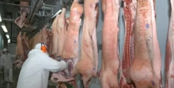 Abate de su�nos bate novo recorde em 2019