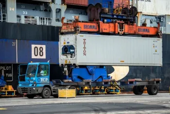 Frango: exporta��es come�am janeiro em ritmo acelerado