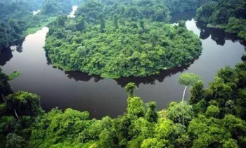 Governo de MT e O.N.E. Amazon firmam conv�nio de US$ 100 milh�es para a��es de preserva��o e desenvolvimento sustent�vel