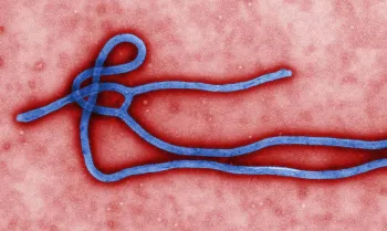 Novo surto de ebola atinge a Rep�blica Democr�tica do Congo