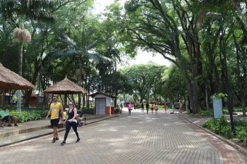 Fernanda Sunega/PMC