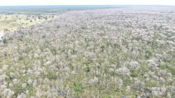 Operao Cordilheira sequestra propriedades e aplica multa de R$ 2,8 bilhes por desmate qumico no Pantanal