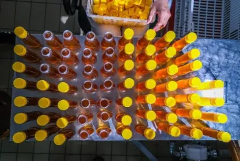 Cadastro de Estabelecimentos Agropecu�rios na Agrodefesa Deve Ser Realizado At� 31 de Dezembr