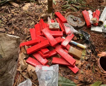 Ao conjunta apreende 50 quilos de entorpecentes em rea rural de Colder