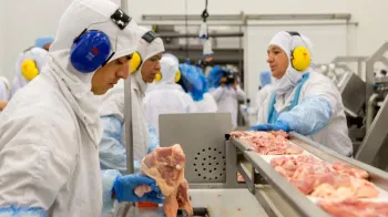 Brasil Acompanha Sobretaxa Da China Sobre Importa��es De Carne Bovina