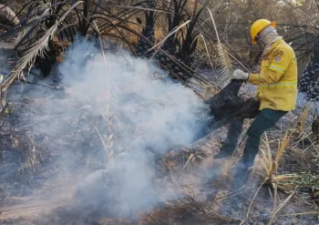 Governo Federal dobra n�mero de brigadistas no norte do Pantanal