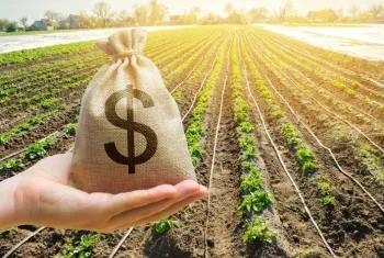 Aplicao do crdito rural chega a R$ 217 bilhes em cinco meses do atual Plano Safra