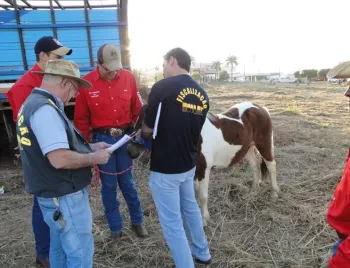 Indea promove curso para mdicos veterinrios interessados em atuar em eventos agropecurios