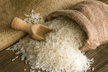 Mercado de arroz segue em queda em maio e acende alerta para pr�xima safra