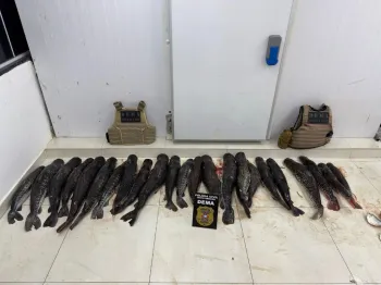 Pol�cia Civil apreende 124 quilos de pescado ilegal em propriedade rural em Bar�o de Melga�o