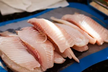Exporta��es de peixes crescem 52% e fortalecem a piscicultura brasileira no primeiro semestre de 2025