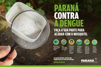 Paran� tem queda de 85% nos casos e de 82% de �bitos por dengue entre janeiro e julho
