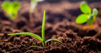 O caminho para um agro mais resiliente