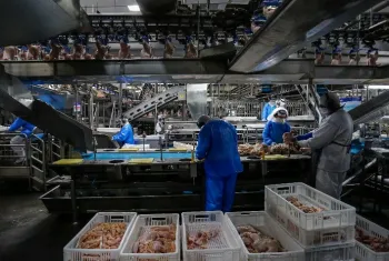 Exporta��es de carne de frango t�m aumento no volume di�rio, mas pre�o e faturamento recuam