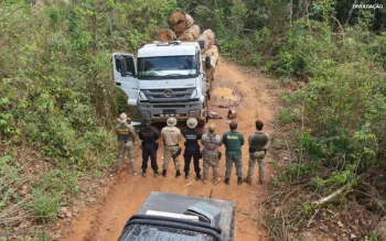 Federal e Ibama desmontam grupo de extra��o ilegal de madeira em terra ind�gena