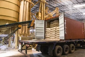 Exporta��es mundiais de caf� somam 138 milh�es de sacas entre outubro de 2024 e setembro de 2025