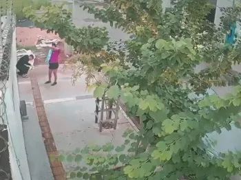 Bombeiro militar salva rec�m-nascido de quatro dias que engasgou com leite materno