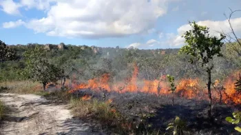 Focos de calor em MT Foto: Comit� do Fogo