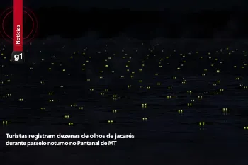 Turistas registram dezenas de olhos de jacar�s durante passeio noturno no Pantanal de MT (Ajustada por IA)