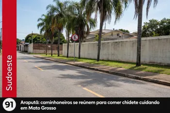 Grupo de araras � flagrado comendo 'chiclete cuiabano' em MT (Ajustada por IA)