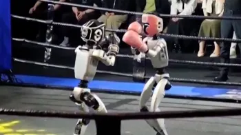 Assista aos rob�s humanoides competindo em um concurso de kick-boxing