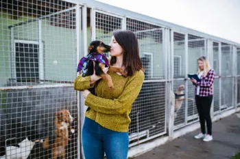 A ado��o respons�vel pode transformar a sua vida e a do animal