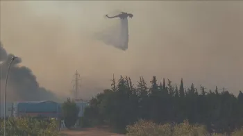 Inc�ndios florestais na Gr�cia