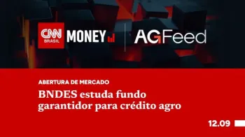 BNDES estuda fundo garantidor para cr�dito agro