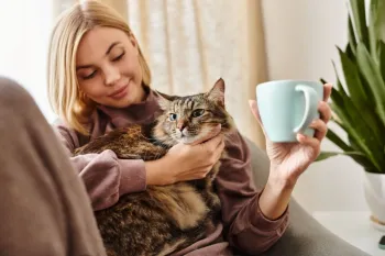 Pensar em nomes que combinem com gatos carinhosos � uma forma de celebrar sua do�ura