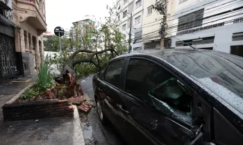 S�o Paulo (SP), 22/09/2025 - Fortes chuvas e ventania derrubaram �rvore na rua Dr Carvalho de Mendon�a, na Barra Funda, atingindo um carro. Foto: Paulo Pinto/Ag�ncia Brasil