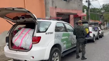 S�o cumpridos 31 mandados de busca e apreens�o na capital e na regi�o metropolitana de SP� Pol�cia Militar Ambiental